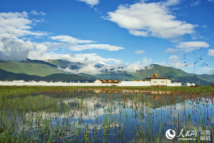 納帕海濕地風景。呂昊辰攝