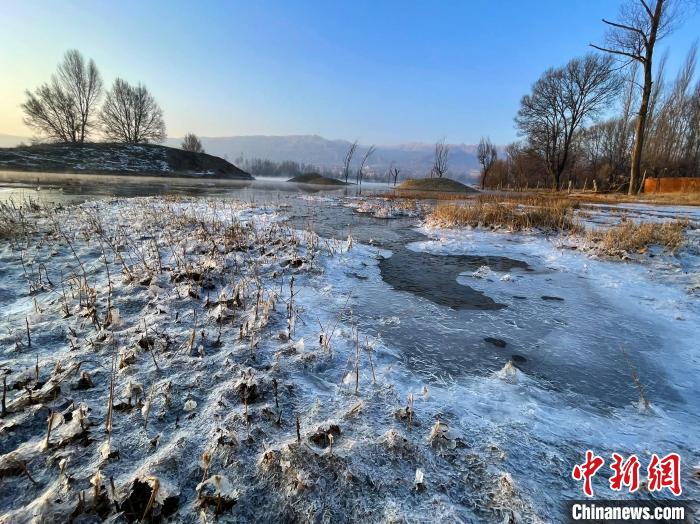 圖為青海省化隆縣黃河濕地景色。　李玉峰 攝
