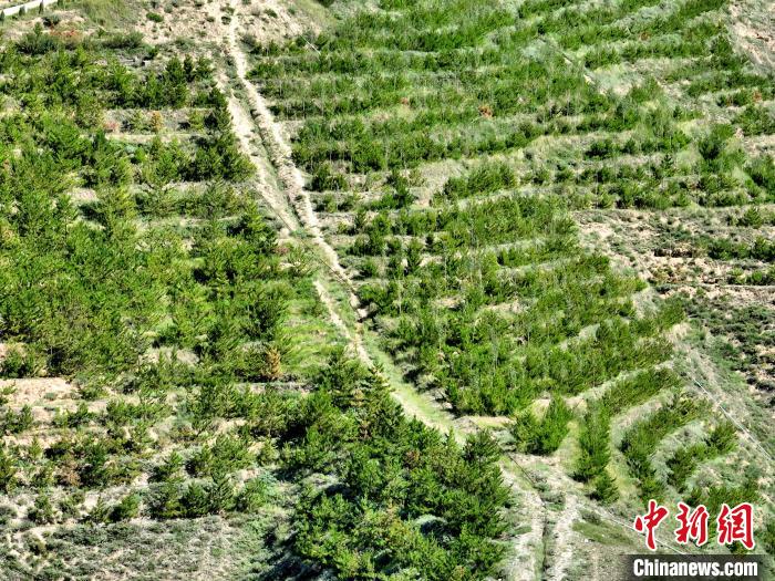 航拍建行青海省分行綠化區(qū)?！∑钤鲚?攝