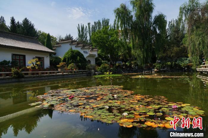 圖為西寧園林植物園秋日風(fēng)景別有韻味?！●R銘言 攝