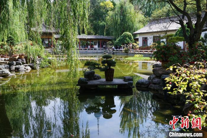 圖為西寧園林植物園秋日風(fēng)景別有韻味?！●R銘言 攝