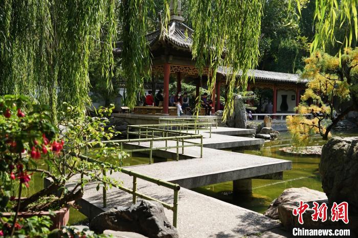 圖為西寧園林植物園秋日風(fēng)景別有韻味?！●R銘言 攝
