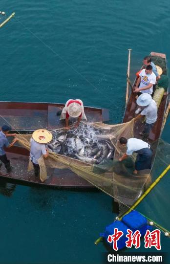 捕魚現(xiàn)場?！≈鬓k方供圖