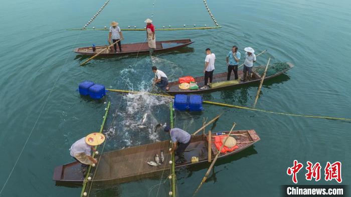 捕魚現(xiàn)場?！≈鬓k方供圖
