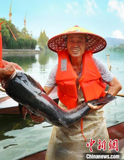 工作人員展示捕撈成果?！≈鬓k方供圖