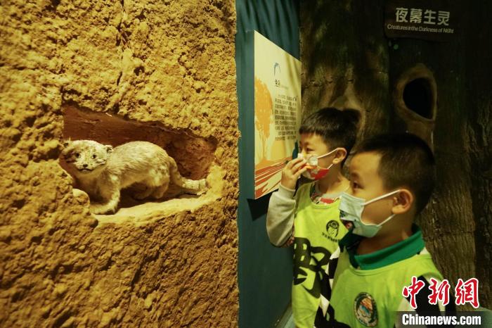 圖為小朋友在青海西寧湟水國(guó)家濕地公園科普館內(nèi)參觀學(xué)習(xí)?！●R銘言 攝