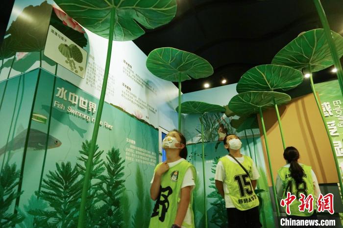 圖為小朋友在青海西寧湟水國(guó)家濕地公園科普館內(nèi)參觀學(xué)習(xí)?！●R銘言 攝