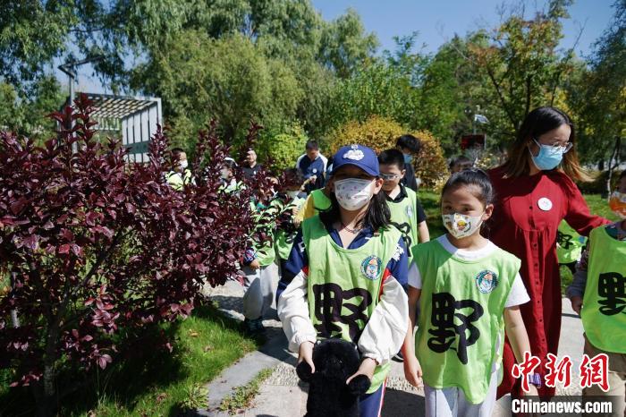 圖為小朋友在青海西寧湟水國(guó)家濕地公園內(nèi)認(rèn)識(shí)植物?！●R銘言 攝