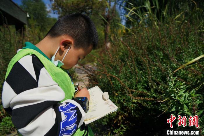 圖為小朋友在青海西寧湟水國(guó)家濕地公園內(nèi)認(rèn)識(shí)植物并進(jìn)行繪畫?！●R銘言 攝