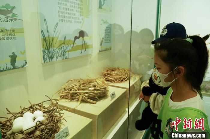 圖為小朋友在青海西寧湟水國(guó)家濕地公園科普館內(nèi)參觀學(xué)習(xí)。　馬銘言 攝