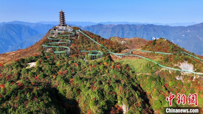 巴山大峽谷彩林迎來(lái)最佳觀賞期?！∫κ?攝