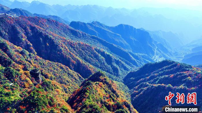巴山大峽谷彩林迎來(lái)最佳觀賞期?！埰?攝