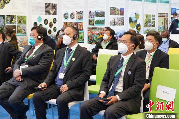 圖為極小種群物種和生物多樣性保護(hù)邊會現(xiàn)場?！≡颇鲜×謽I(yè)和草原局供圖