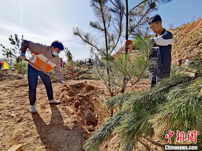 圖為西寧市城東區(qū)義務(wù)植樹活動現(xiàn)場?！?zhí)砀?攝