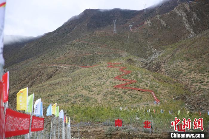 圖為拉薩南北山綠化工程拉薩曲水縣才納村5號(hào)片區(qū)?！∝暣_ 攝