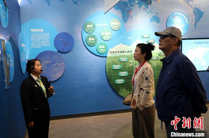 圖為臺商在祁連山國家公園生態(tài)科普館內(nèi)聆聽講解?！⊙Φ?攝