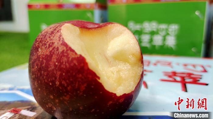 圖為通麥村特色甜心蘋果?！∝暽＠?攝