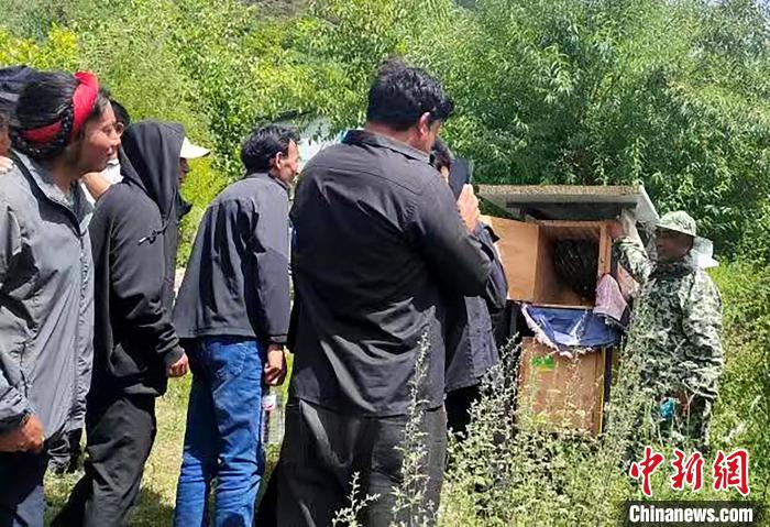 拉久西村村民學(xué)習(xí)養(yǎng)蜂工作流程和防范事項(xiàng)?！〔际忻⒖悼h委宣傳部供圖