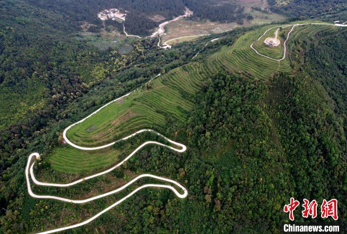 圖為西藏林芝市墨脫縣背崩鄉(xiāng)格林村山頂?shù)木坝^茶園。(無人機照片) 李林 攝