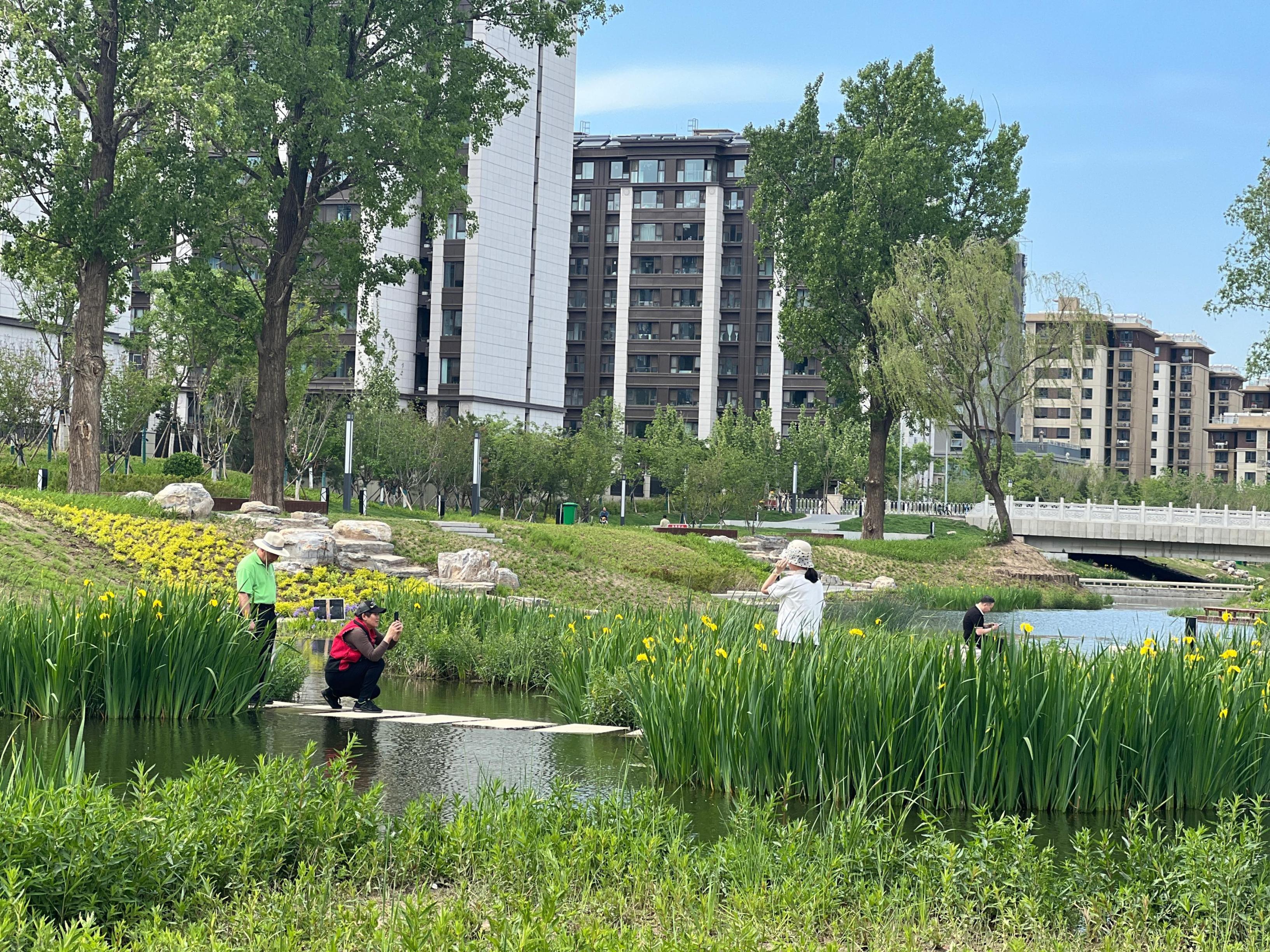 五一渠生態(tài)濱河公園內(nèi)，市民正在拍照留念。人民網(wǎng) 歐陽易佳攝