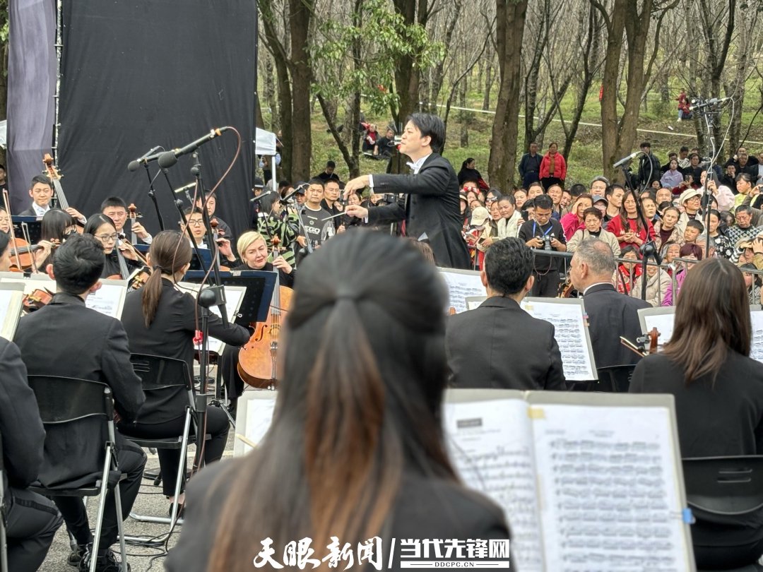 貴陽路邊音樂會(huì)·貴安櫻花園專場交響樂現(xiàn)場。丁亞 文丹 攝