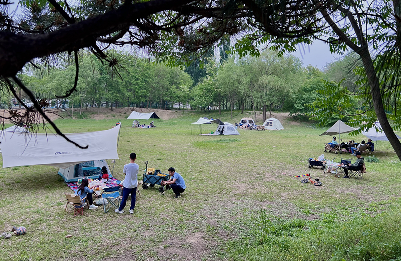 “自駕+露營(yíng)”等多元模式受熱捧。人民網(wǎng)記者 王連香攝
