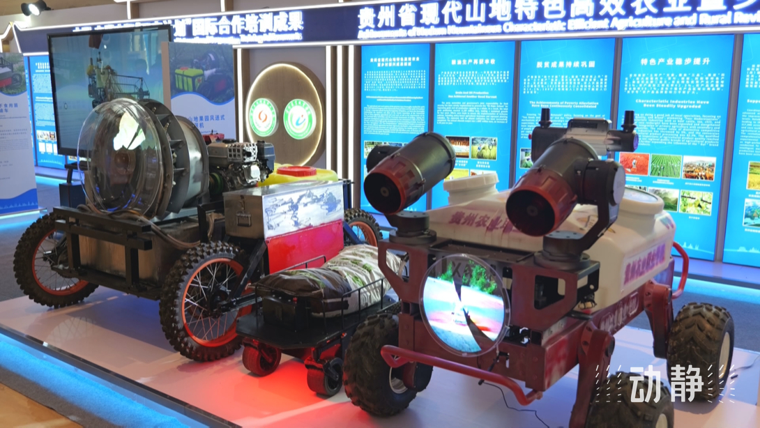 展示成果分享經(jīng)驗，中國—東盟教育交流周深化合作共創(chuàng)未來！