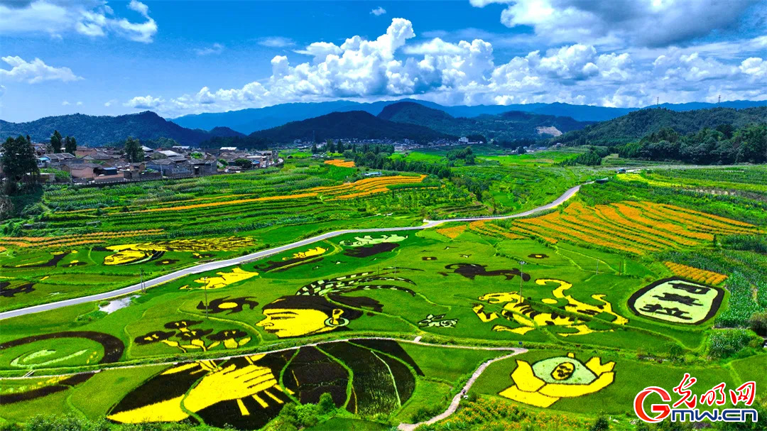 云南清水：延伸公共法律服務(wù)觸角，讓普法與民族團(tuán)結(jié)進(jìn)步互促共融