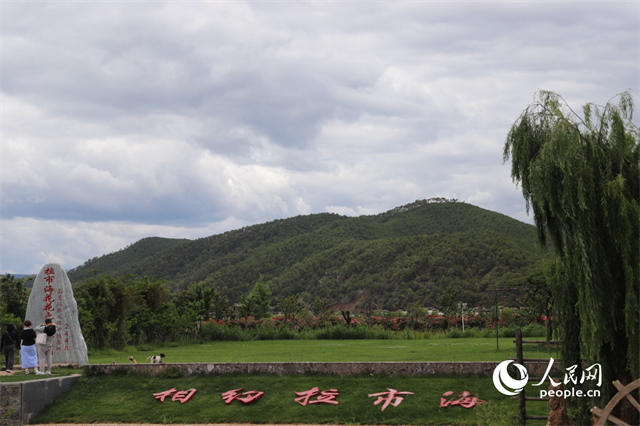 麗江市拉市海景區(qū)。 人民網(wǎng)記者 程浩攝