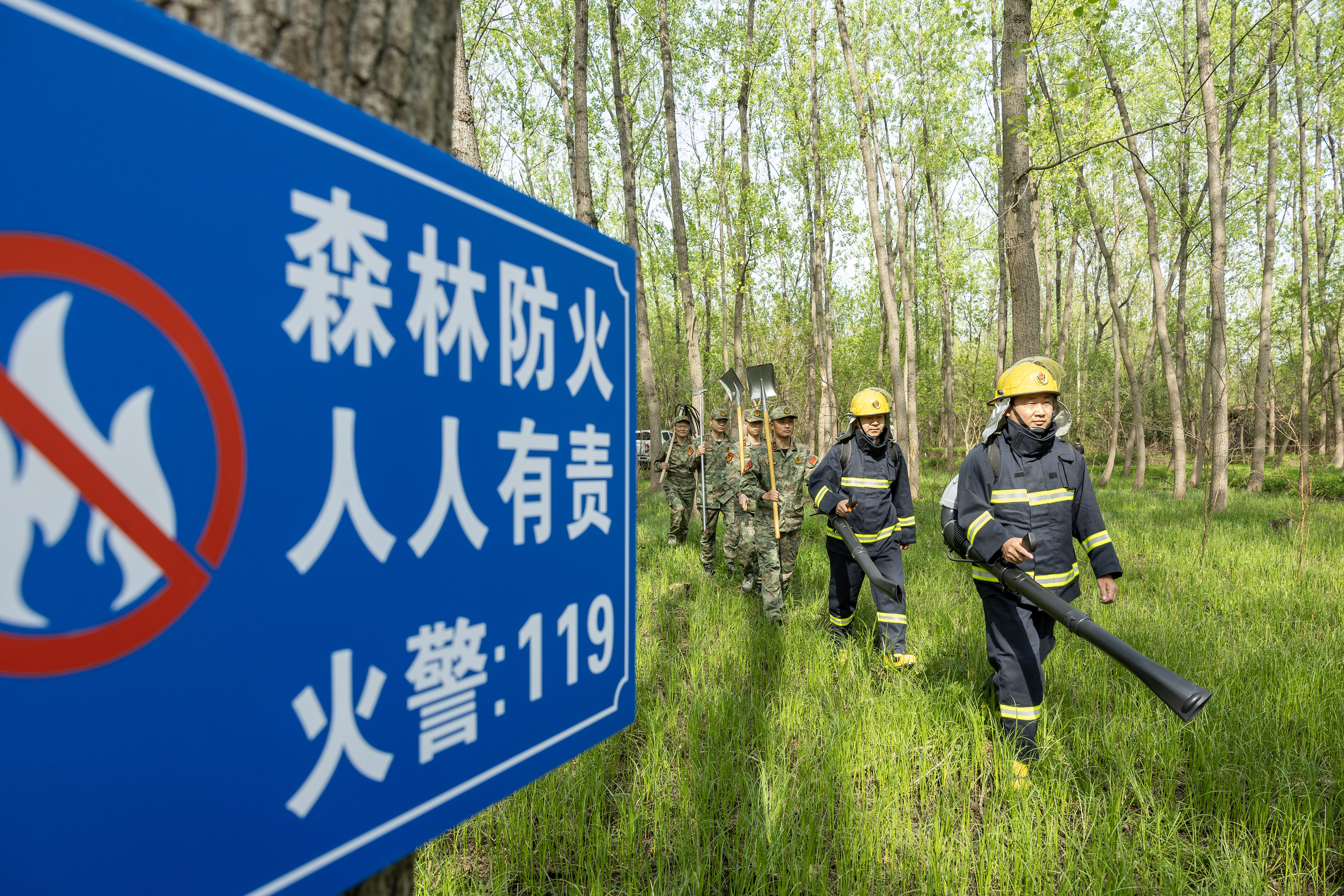 2024年4月9日，合肥市大房郢水庫水源保護(hù)地廬陽經(jīng)濟(jì)開發(fā)區(qū)段，基干民兵正在林間巡查火災(zāi)隱患。
