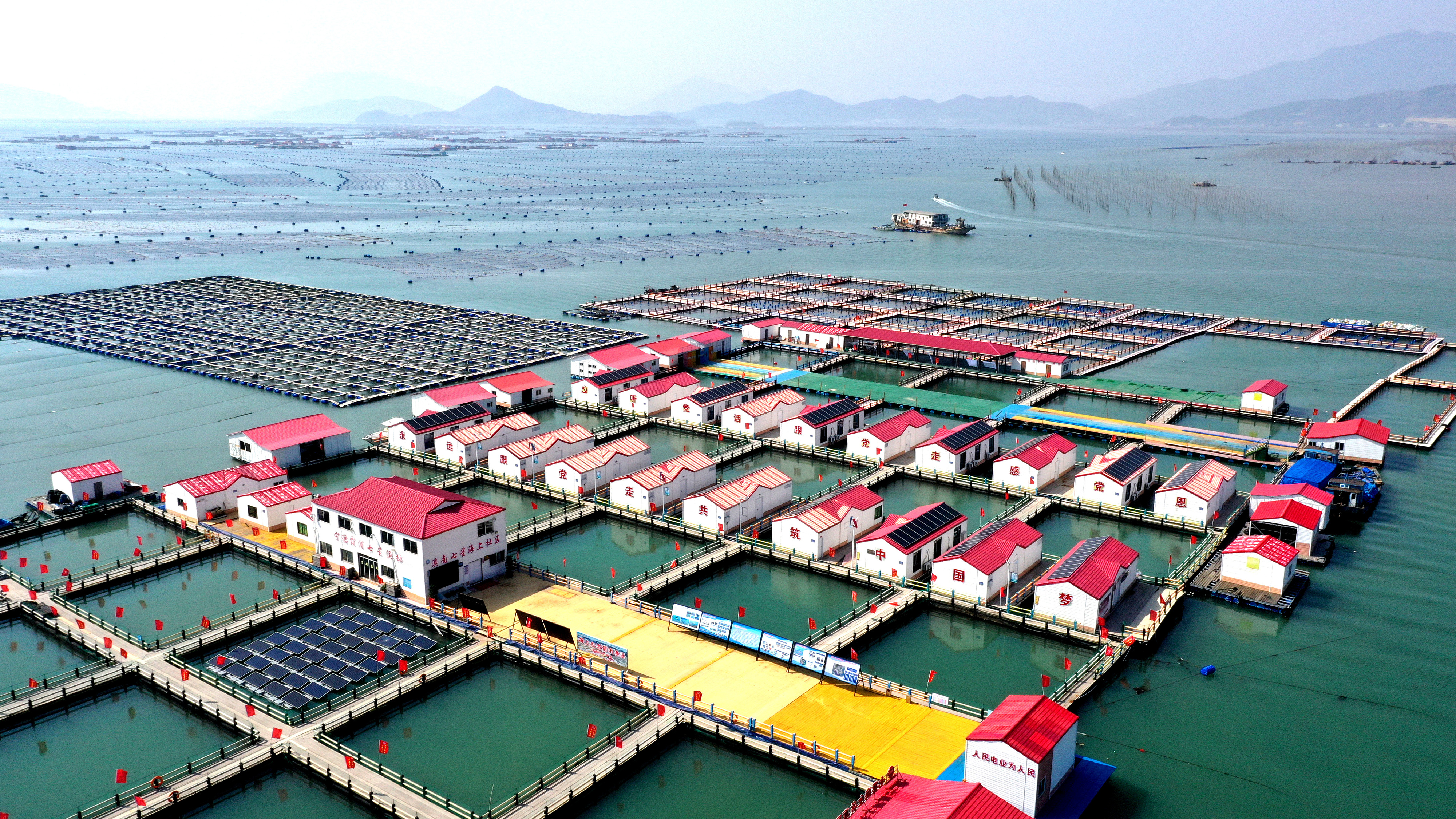 2024年3月20日，福建省寧德市，霞浦縣溪南鎮(zhèn)七星村漁排養(yǎng)殖示范區(qū)，漁民駕駛養(yǎng)殖船進(jìn)行海參養(yǎng)殖作業(yè)。