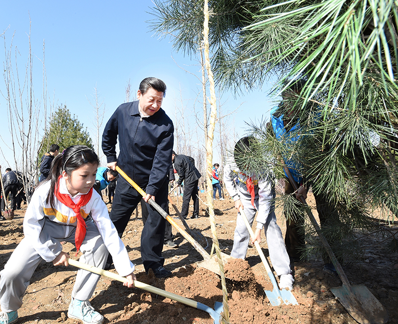 2015年4月3日，習(xí)近平總書記同大家一起植樹。