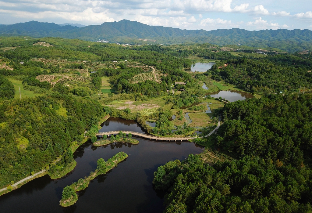 福建省龍巖市長汀縣的長汀汀江國家濕地公園景色（2020年7月28日攝，無人機(jī)照片）。新華社記者 魏培全 攝
