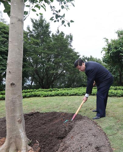 2012年12月7日至11日，習(xí)近平在廣東省考察工作。這是8日上午，習(xí)近平在深圳蓮花山公園種下一棵高山榕樹。新華社記者 蘭紅光 攝