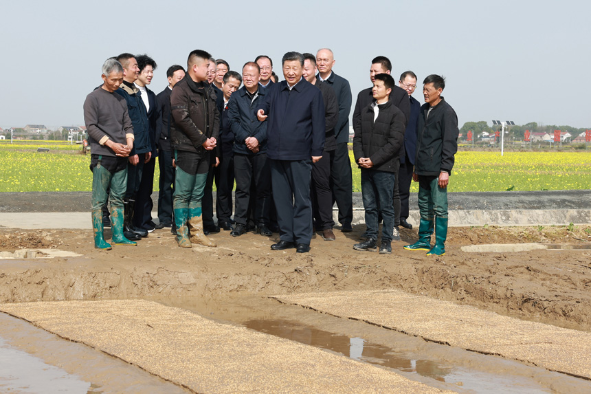 2024年3月18日至21日，中共中央總書記、國家主席、中央軍委主席習(xí)近平在湖南考察。這是19日下午，習(xí)近平在常德市鼎城區(qū)謝家鋪鎮(zhèn)港中坪村走進田間，察看秧苗培育和春耕備耕進展。新華社記者 王曄 攝