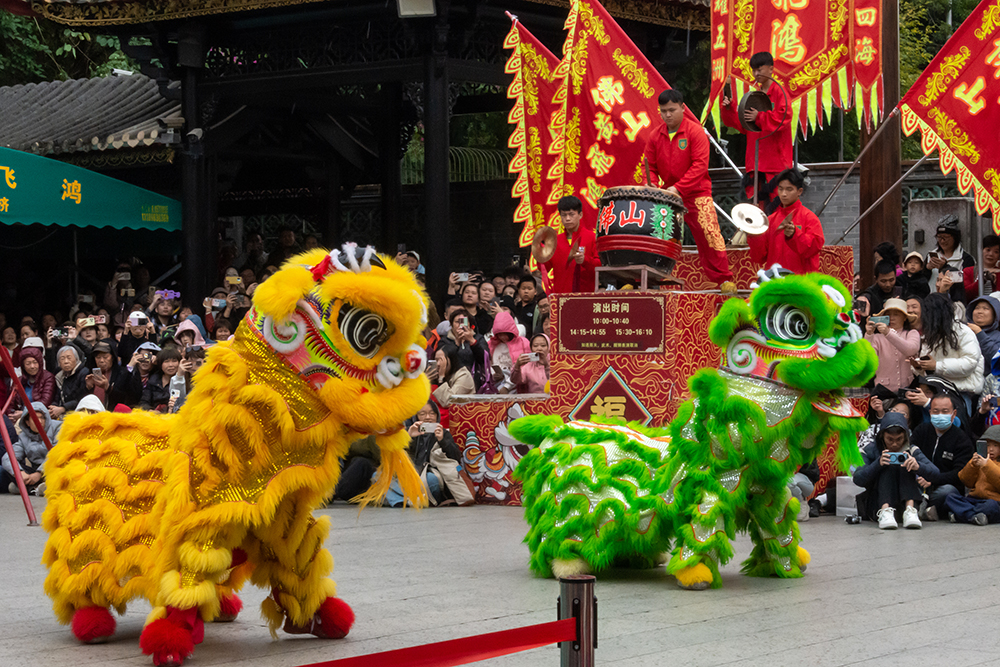 圖為廣東省佛山市祖廟的醒獅表演。