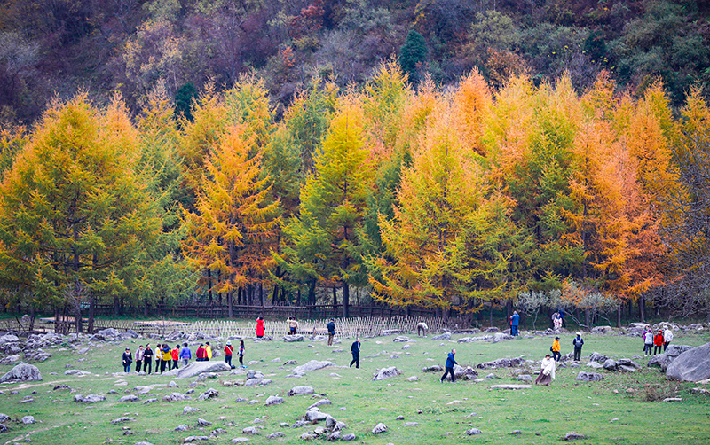 2023年10月27日，深秋時(shí)節(jié)的陜西秦嶺太子嶺漫山紅黃、色彩交織，進(jìn)入最佳觀賞期。