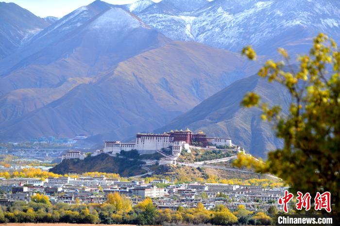 10月24日，雪山、布達拉宮和秋色組成“風景畫”。　江飛波 攝
