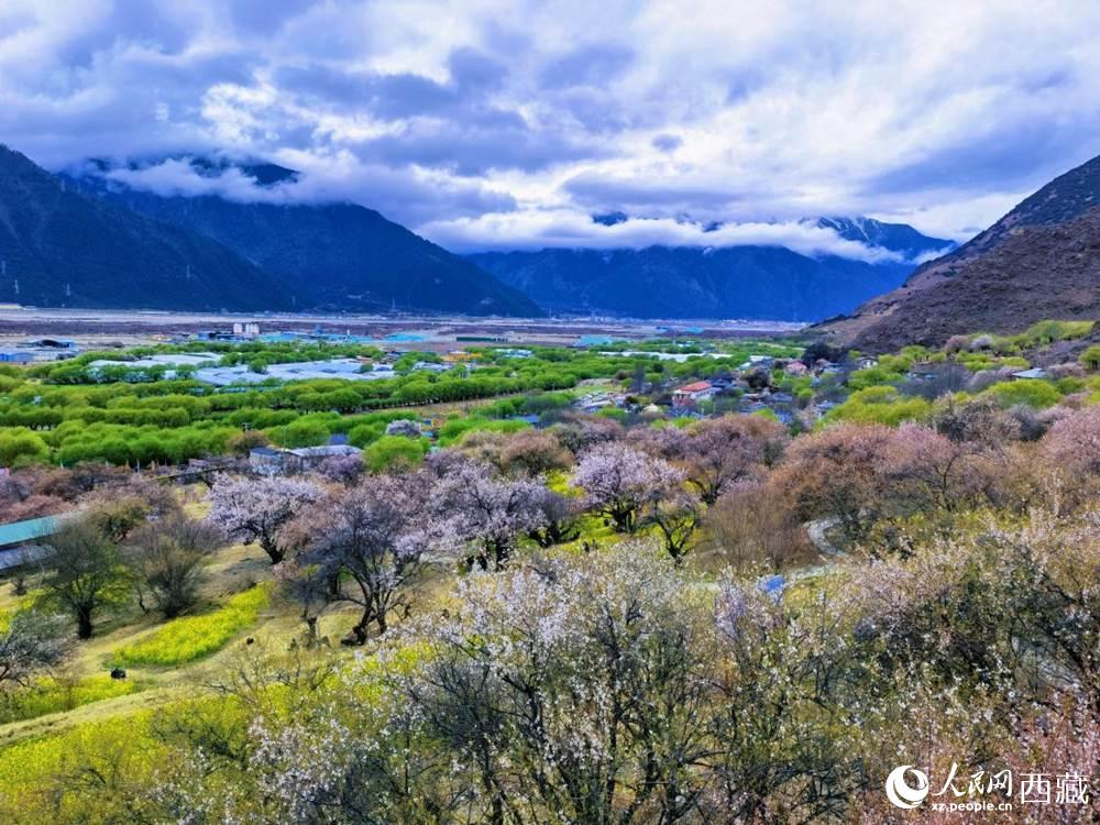 桃花從中的“童話小鎮(zhèn)”。人民網(wǎng) 李海霞攝