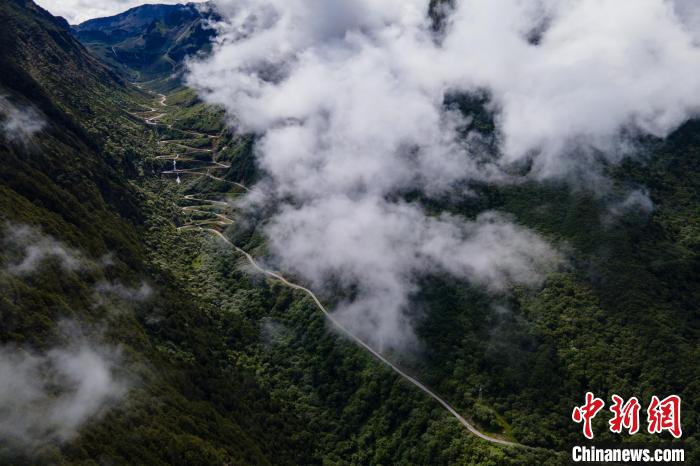 西藏山南勒布溝景區(qū)的盤山公路被云霧環(huán)繞。　江飛波 攝