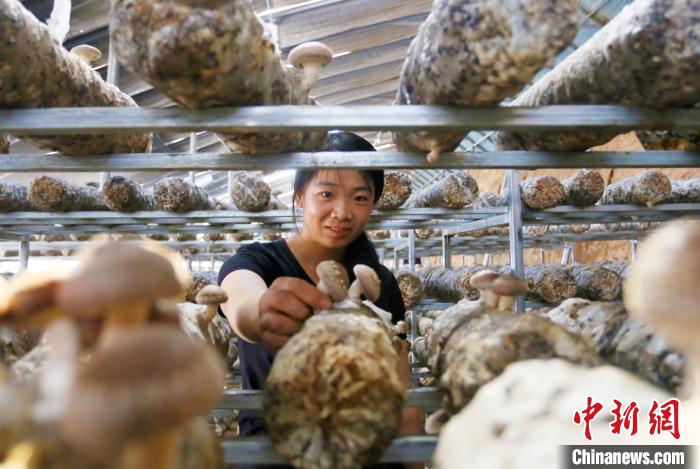 甘肅天?！跋愎椒蚱蕖毕律饺氪ǎ捍笈锢镉板X景”