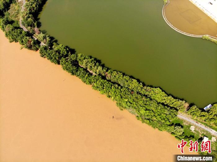 圖為2020年9月3日航拍黃河蘭州段濕地公園現(xiàn)黃河“鴛鴦鍋”。(資料圖) 高瑩 攝