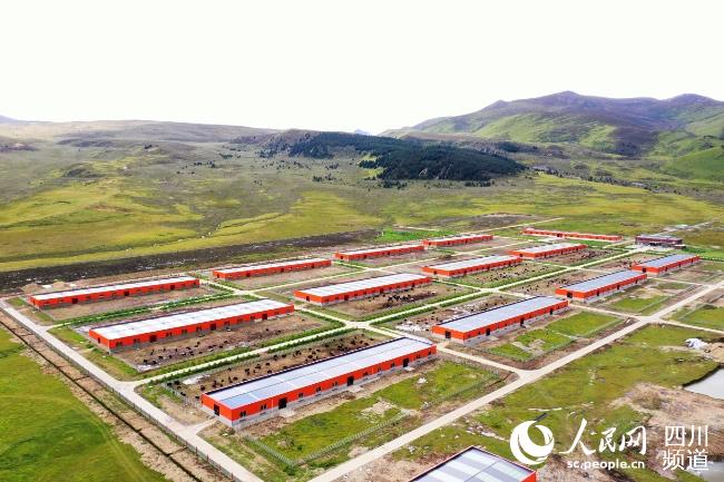 建設(shè)中的理塘縣牦牛產(chǎn)業(yè)園。葉強平攝