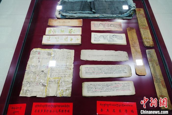 圖為藏醫(yī)古集文獻和藏醫(yī)臨床原始手稿?！●R銘言 攝
