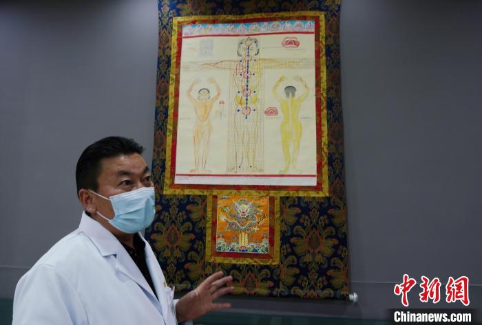 圖為興?？h藏醫(yī)院院長介紹藏醫(yī)四部醫(yī)典詳實圖?！●R銘言 攝