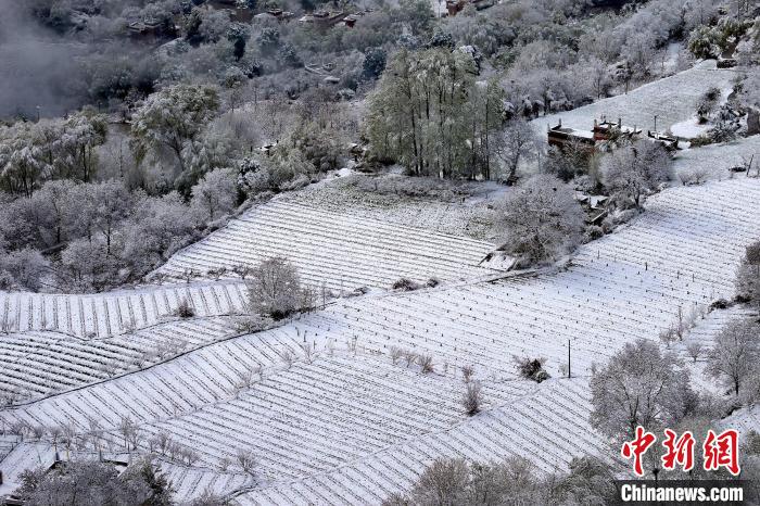 雪后的高山田間如畫?！±钣腊?攝