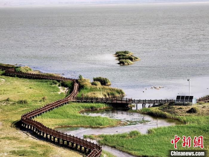 圖為都蘭湖國(guó)家濕地公園觀光棧道?！∑钤鲚?攝