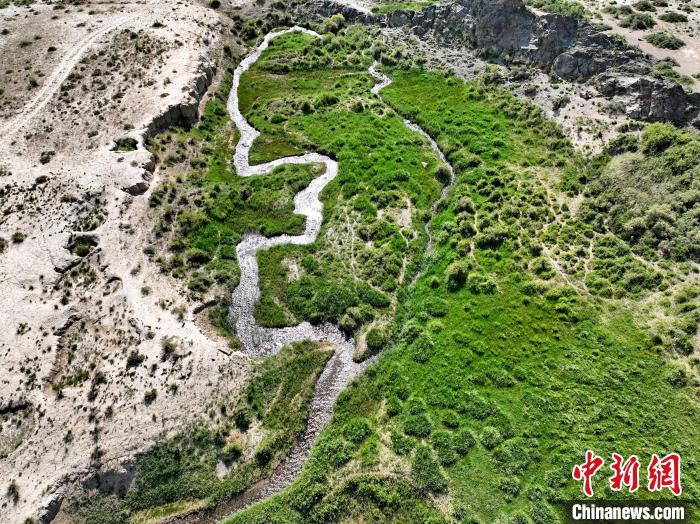 圖為航拍都蘭湖國(guó)家濕地公園綠意盎然?！∑钤鲚?攝