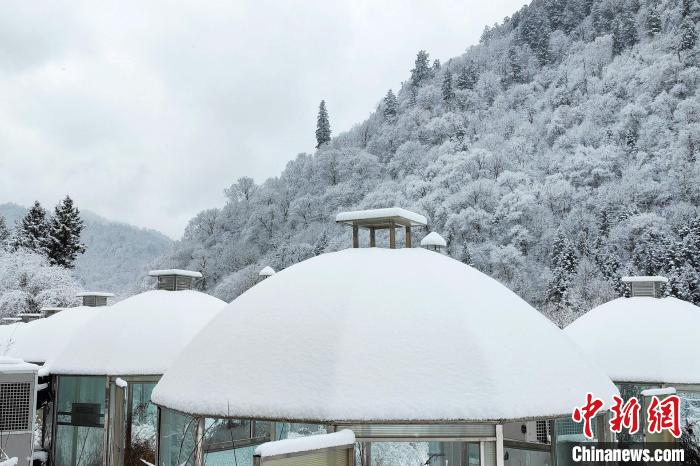 大熊貓國(guó)家公園王朗片區(qū)春雪如畫，宛若仙境?！×_春平 攝
