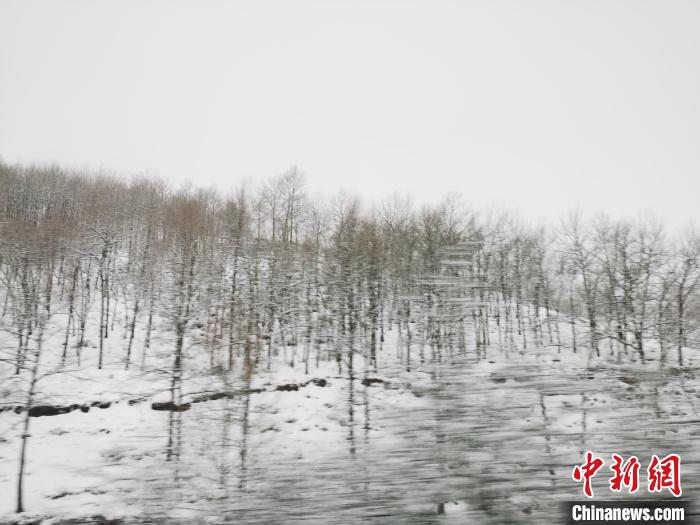 圖為青海青沙山區(qū)域被降雪覆蓋。　張?zhí)砀?攝